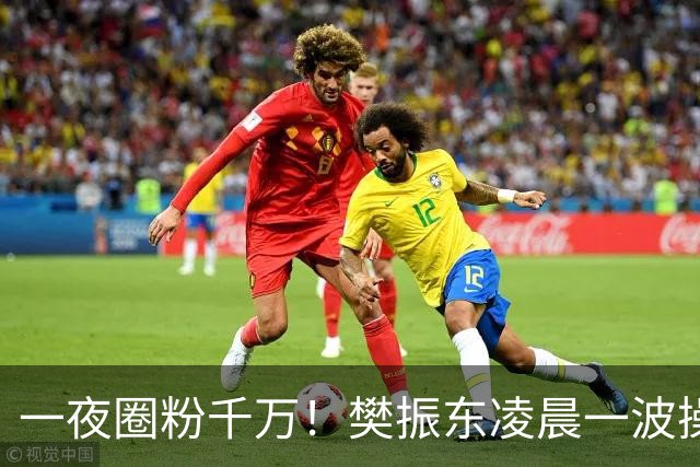 一夜圈粉千万！樊振东凌晨一波操作堪称封神，这才是顶流的底线