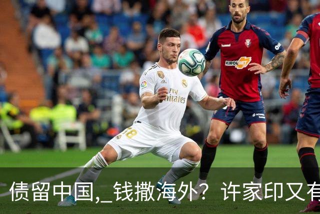 债留中国, 钱撒海外？许家印又有重大资产被挖, 捐哈佛12亿冰山一角