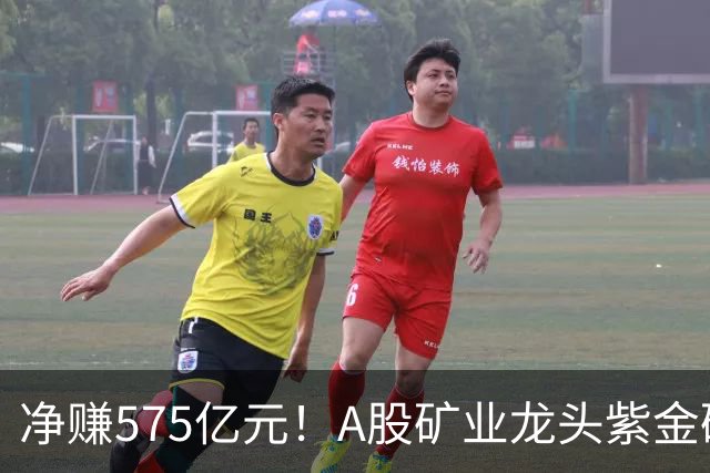 净赚575亿元！A股矿业龙头紫金矿业，前三季度净利大增52%，股价较年内高点回撤逾三成