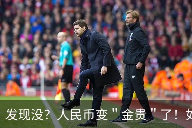 发现没？人民币变＂金贵＂了！如今手里30万，抵得上几年前几十万