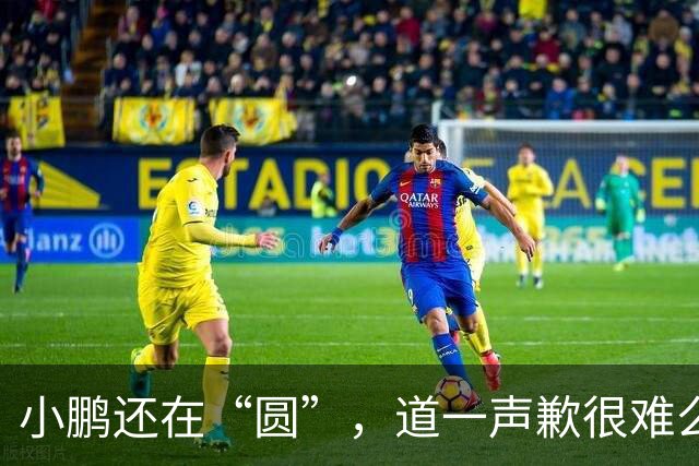 小鹏还在“圆”，道一声歉很难么