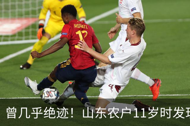曾几乎绝迹！山东农户11岁时发现1棵幼苗，花34年令它走出绝境