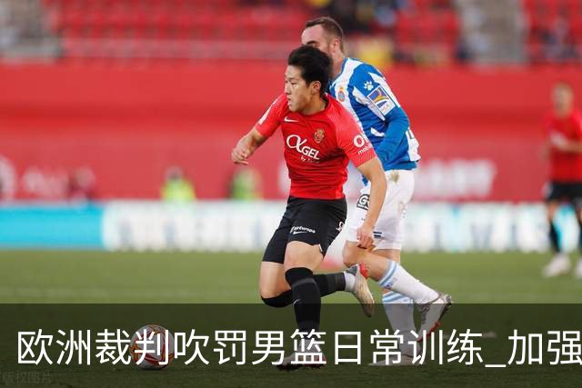 欧洲裁判吹罚男篮日常训练 加强适应判罚尺度