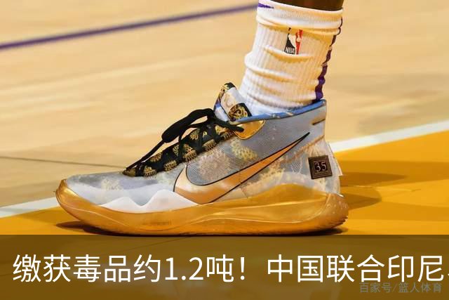 缴获毒品约1.2吨！中国联合印尼、马来西亚破获一起特大跨国制贩毒案