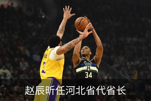 赵辰昕任河北省代省长