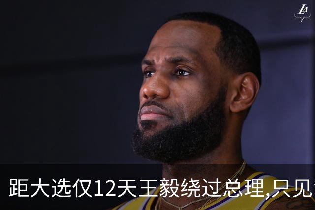 距大选仅12天王毅绕过总理,只见没实权的总统,这盘棋很深