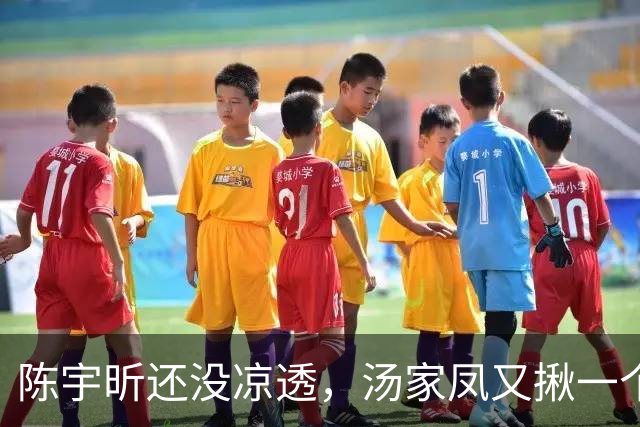 陈宇昕还没凉透，汤家凤又揪一个“精日”人员：竟然还是公司老板