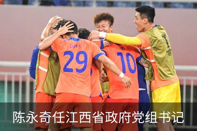 陈永奇任江西省政府党组书记