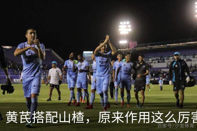 黄芪搭配山楂，原来作用这么厉害，很多人却不知道，建议收藏备用