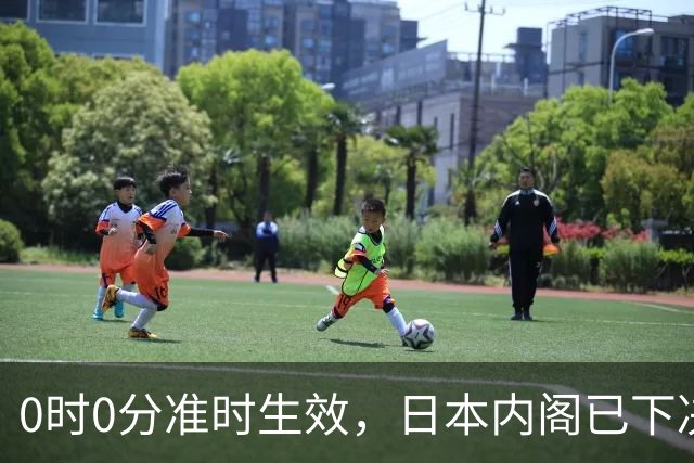 0时0分准时生效，日本内阁已下决心，对中国加税，最高顶格出手