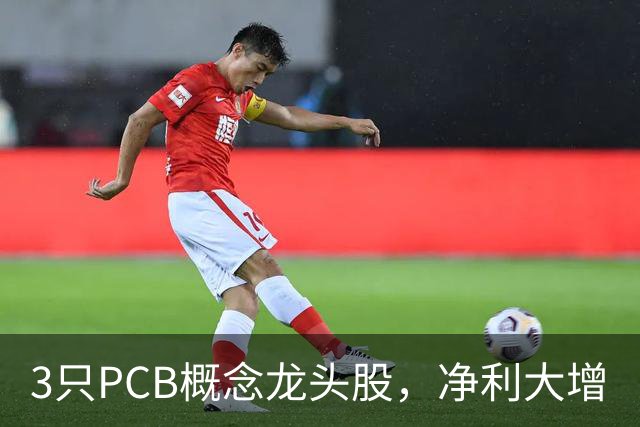 3只PCB概念龙头股，净利大增